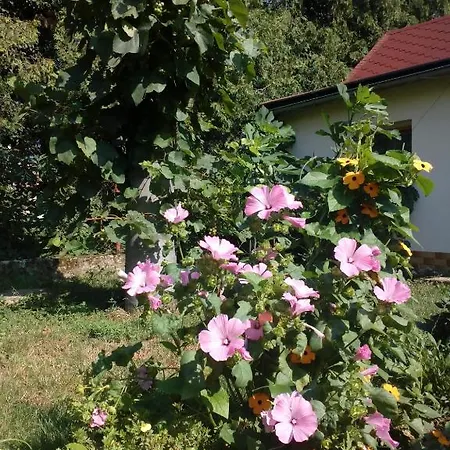 Platanus Panzió Beckó