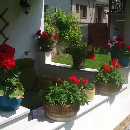 Platanus Bed & Breakfast